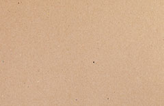 E200s Cardboard